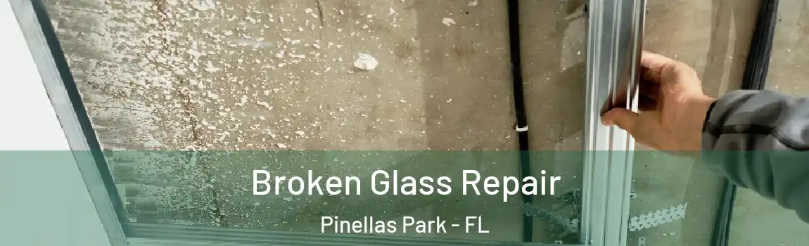  Broken Glass Repair Pinellas Park - FL