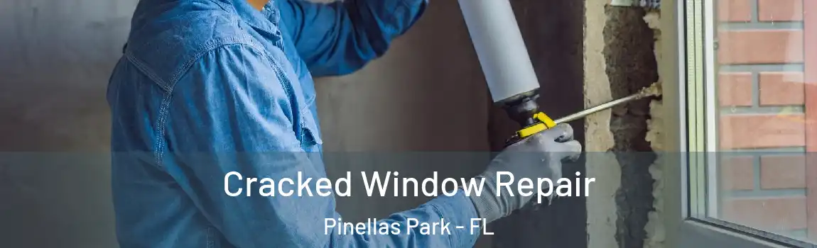  Cracked Window Repair Pinellas Park - FL