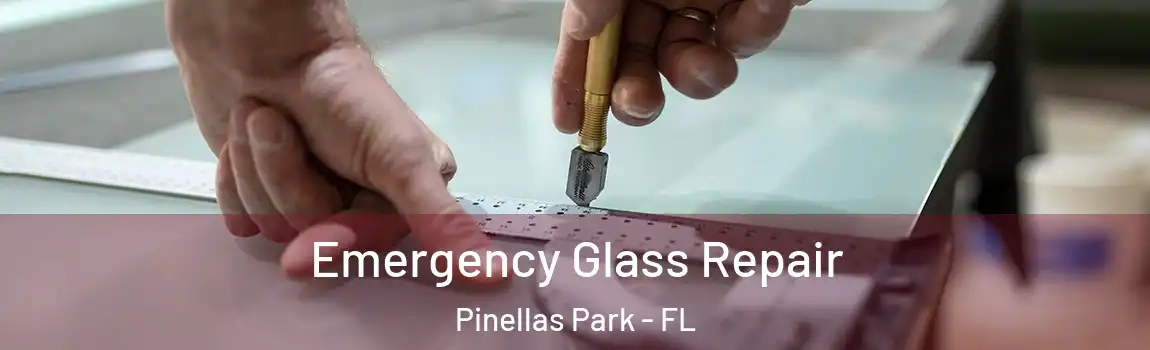  Emergency Glass Repair Pinellas Park - FL