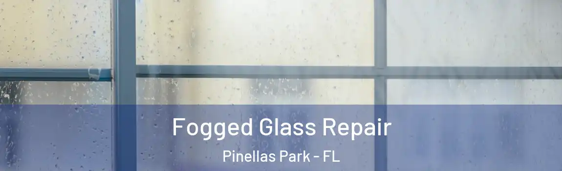  Fogged Glass Repair Pinellas Park - FL
