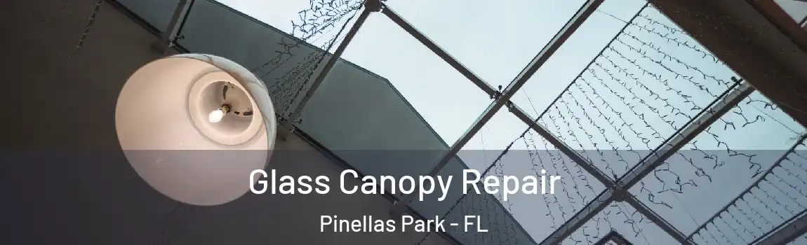  Glass Canopy Repair Pinellas Park - FL