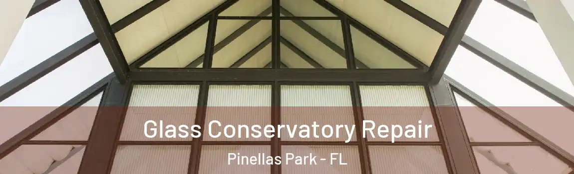  Glass Conservatory Repair Pinellas Park - FL