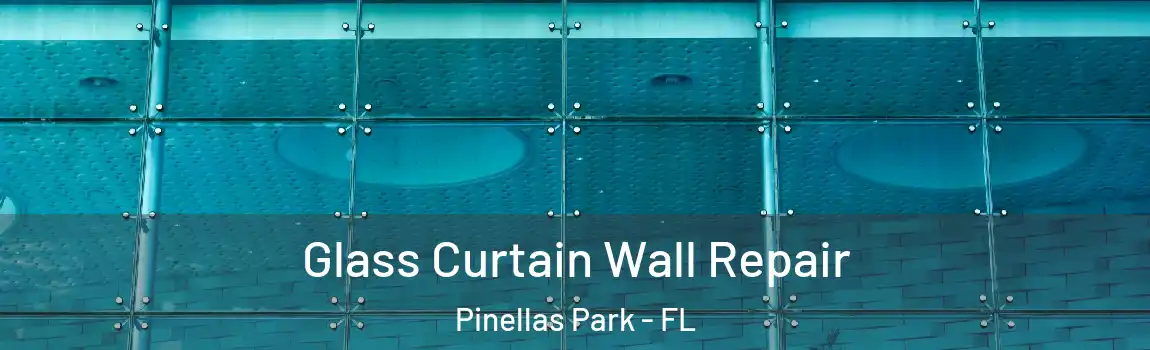  Glass Curtain Wall Repair Pinellas Park - FL