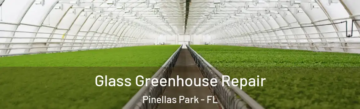  Glass Greenhouse Repair Pinellas Park - FL