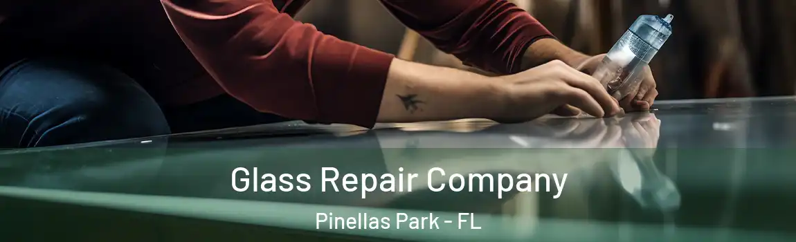 Glass Repair Company Pinellas Park - FL