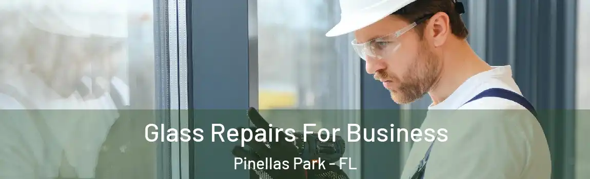  Glass Repairs For Business Pinellas Park - FL