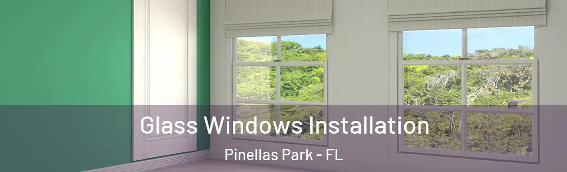  Glass Windows Installation Pinellas Park - FL