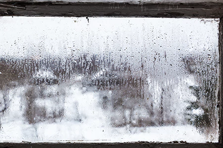 Defogging Double Pane Windows in Pinellas Park, FL