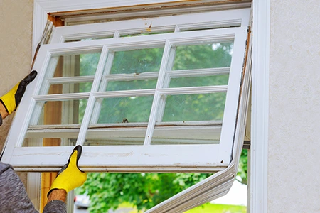 Window Replacement in Pinellas Park, FL