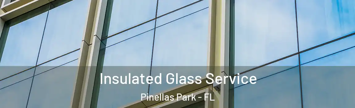  Insulated Glass Service Pinellas Park - FL