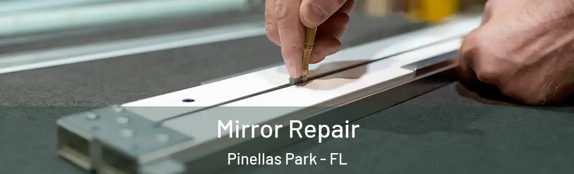  Mirror Repair Pinellas Park - FL