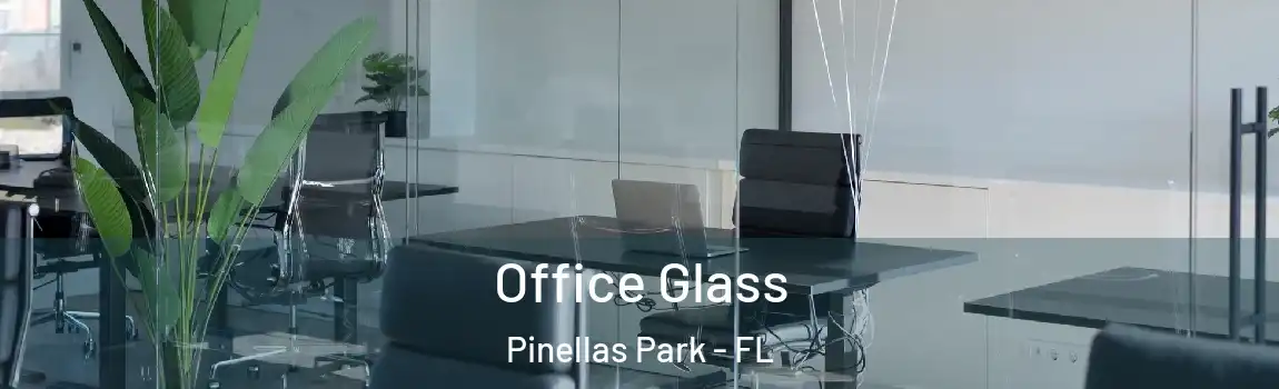  Office Glass Pinellas Park - FL