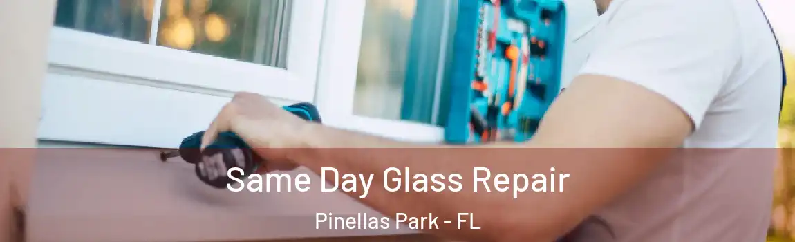 Same Day Glass Repair Pinellas Park - FL
