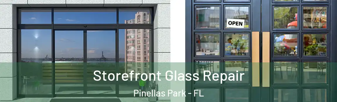  Storefront Glass Repair Pinellas Park - FL