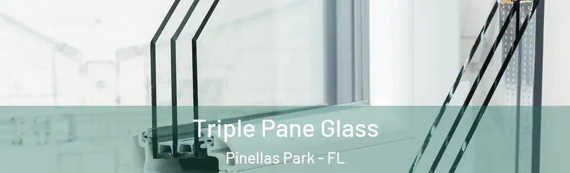  Triple Pane Glass Pinellas Park - FL
