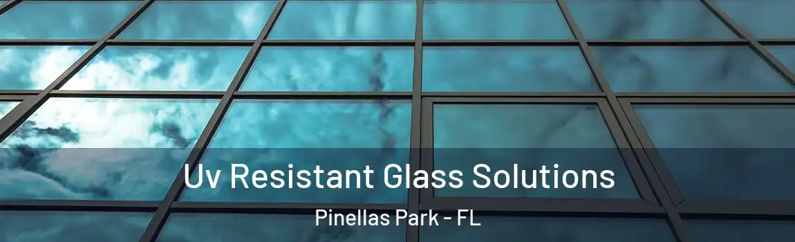  Uv Resistant Glass Solutions Pinellas Park - FL