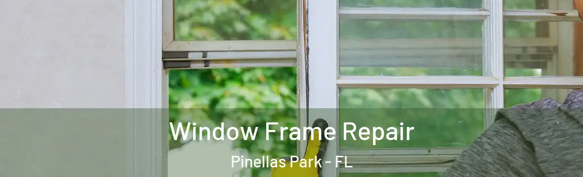  Window Frame Repair Pinellas Park - FL