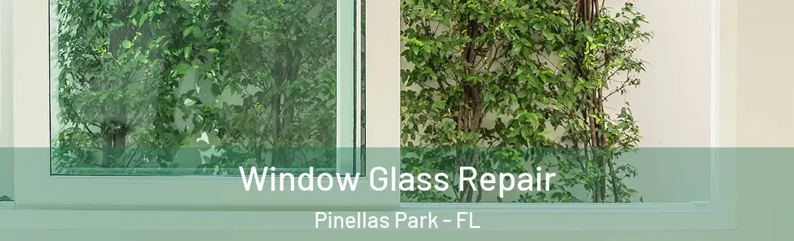  Window Glass Repair Pinellas Park - FL
