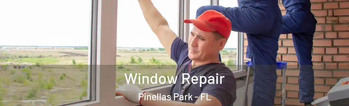  Window Repair Pinellas Park - FL