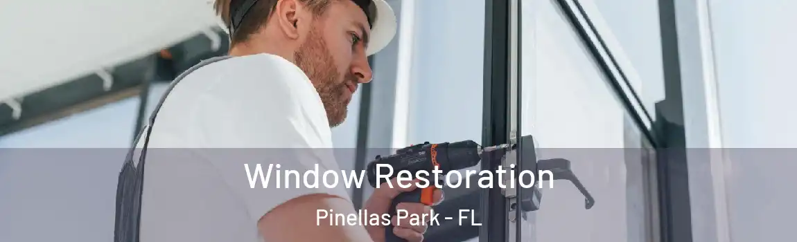  Window Restoration Pinellas Park - FL