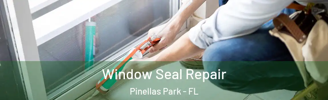  Window Seal Repair Pinellas Park - FL